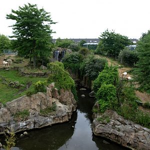 Artis - Desert savannah