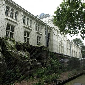 Artis - Vultures of Europe