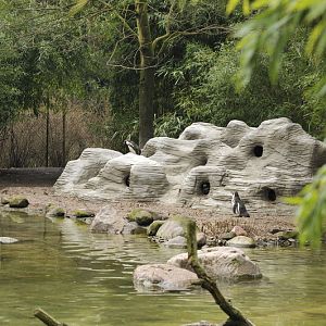 New penguin-enclosure at Hagenbeck