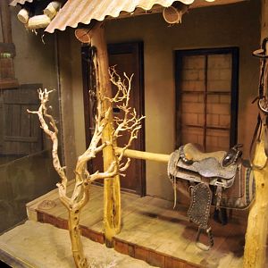 Rattlesnake enclosure at Hagenbeck