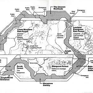 JungleWorld Original Plan
