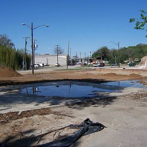 Part of the area that will become the Savanna taken on 3-31-09