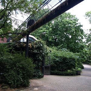 Artis - Chimpanzee House