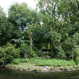 Artis - Gibbon Island