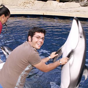 Me doing a dolphing training with the trainer