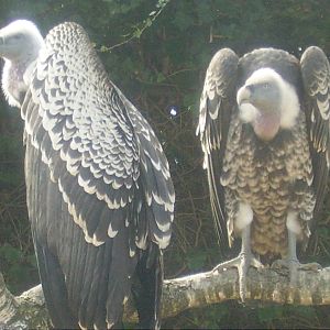 Holland trip March 07 228