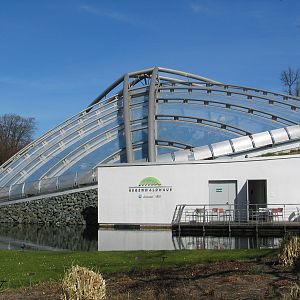 Das Regenwaldhaus (The Rainforest House)