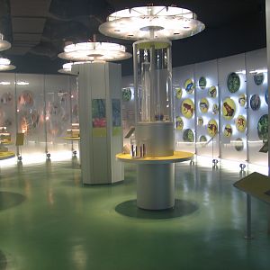 Das Regenwaldhaus (The Rainforest House)