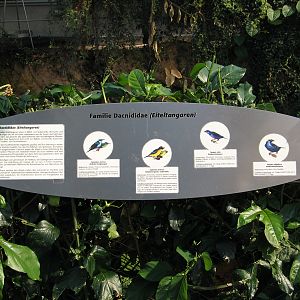 Das Regenwaldhaus (The Rainforest House)