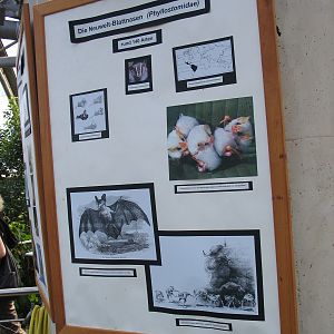 Das Regenwaldhaus (The Rainforest House)