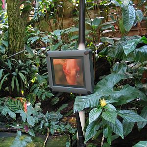 Das Regenwaldhaus (The Rainforest House)