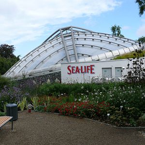 Sea Life Hannover September 2007