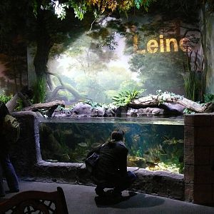 Sea Life Hannover September 2007