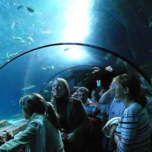 Sea Life Hannover. September 2007