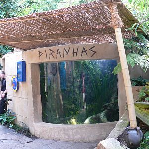 Sea Life Hannover. September 2007