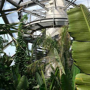 Sea Life Hannover. September 2007