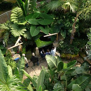 Sea Life Hannover. September 2007