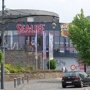 Königswinter Sea Life July 2008
