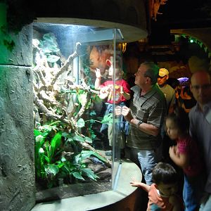 Königswinter Sea Life July 2008