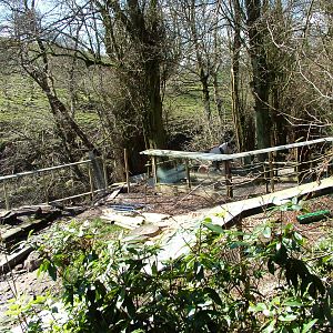 Renovation works to the Giant Otter pool at the Chestnut Centre, March 09