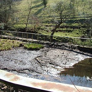 Drained Giant Otter pool at the Chestnut Centre, March 09
