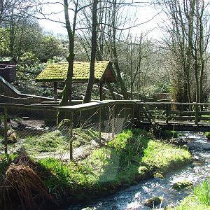 Asian Short-clawed Otter exhibits at the Chestnut Centre, March 09