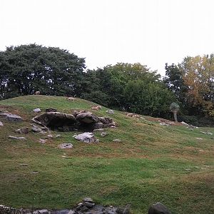 Bronx Zoo: October 2016