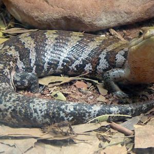 What are you looking at?