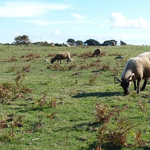 Sorel Point, October 2016