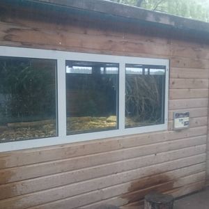 Enclosure African dwarf crocodile