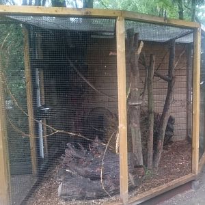 Enclosure Japanese squirrel