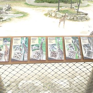 Oct. 2016 - Giraffe Ridge - New Signage