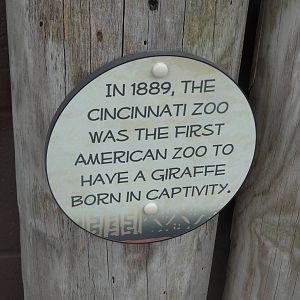 Oct. 2016 - Giraffe Ridge - New Signage