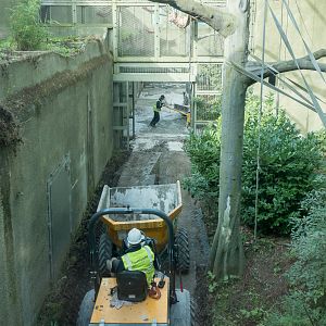 Realm of the Red Ape - 13/10/2016