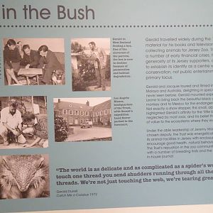 Pictures from an Exhibition, October 2016