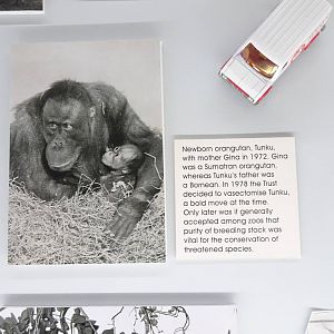 Pictures from an Exhibition, October 2016