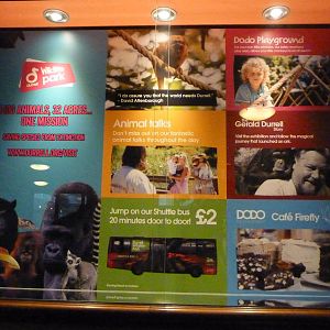 Advert in the hotel, October 2016