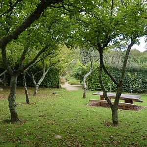 Apple orchard, October 2016