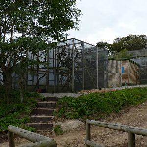 Offshow area, October 2016