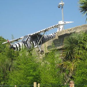 Entrance gate decoration 2016