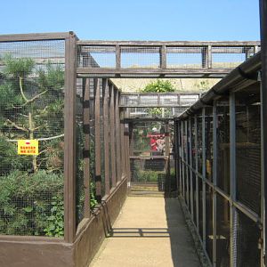 Tamarin/marmoset enclosures 2016.