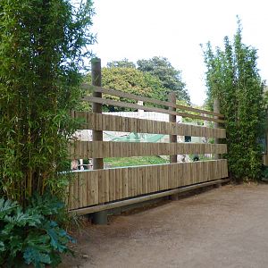 Gorilla enclosure, October 2016