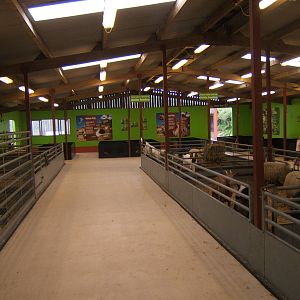 Cotswold Farm Park