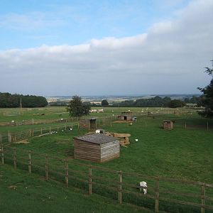 Cotswold Farm Park