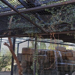 jaguar exhibit