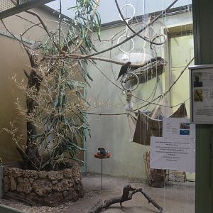 Internal Aviaries at Voliere Zurich (Mythenquai), 13/09/16