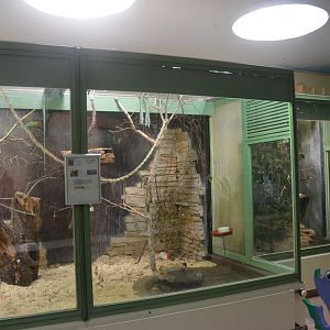 Internal Aviaries at Voliere Zurich (Mythenquai), 13/09/16