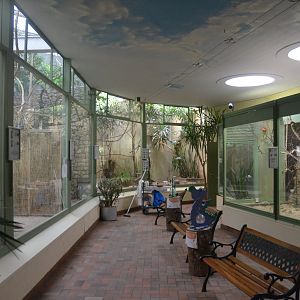 Internal Aviaries at Voliere Zurich (Mythenquai), 13/09/16