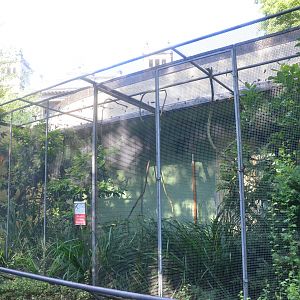 External Aviaries at Voliere Zurich (Mythenquai), 13/09/16