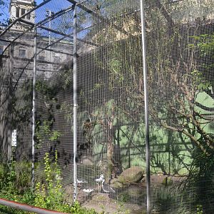 External Aviaries at Voliere Zurich (Mythenquai), 13/09/16